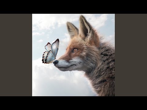 Anhelando Iruya (Cover)