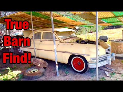 1950 packard BARN FIND. First start in 40 YEARS? Will it run?