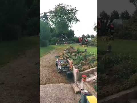 Winching this one back to stop it going onto road.   Tree Felling & Surgery covering all of France.