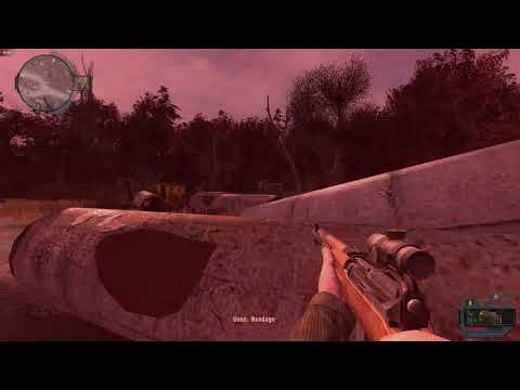 Stalker Demosfen 3D/PiP Scopes