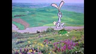 Rabbit And Turtle (Fast And Slow) w. Lyrics