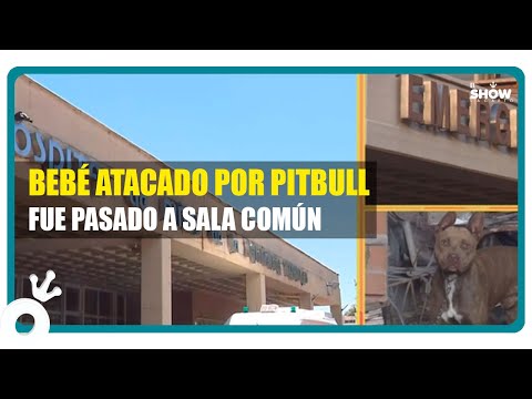 Bebé de un Año Atacado por Perro Pitbull: El Estado de Salud es Favorable