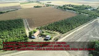 Meggy Neked – Meggyesből jól jövedelmező vállalkozás Békéscsaba közelében