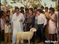 Kannada Comedy Scenes Kashinath Tennis Krishna Dheerendra Gopal Speaking Sheep