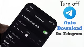 How to Stop Auto Download in Telegram iPhone [Turn Off Automatic Media Download Setting]