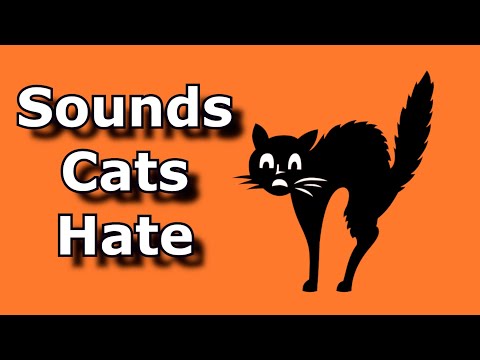 SOUNDS CATS HATE ~ Sound To Scare Cats and Dogs ~  Ultrasonic Alarm To Scare Off Animals