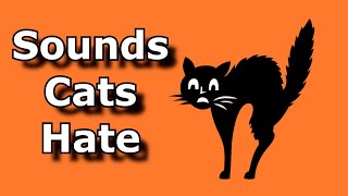 Download lagu SOUNDS CATS HATE ~ Sound To Scare Cats and Dogs ~ Ultrasonic Alarm To Scare Off Animals mp3 Download lagu SOUNDS CATS HATE ~ Sound To Scare Cats and Dogs ~ Ultrasonic Alarm To Scare Off Animals mp3