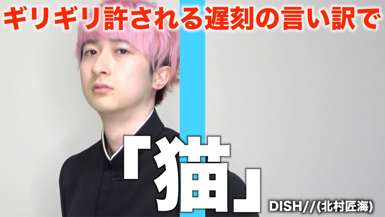 カバー曲まとめ Dish 猫 ほーみーず カバー曲まとめ Dish 猫 ほーみーず