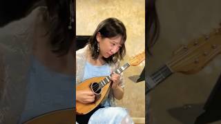 Download lagu #マンドリン #バイオリン #mandolin #violin #classic mp3 Download lagu #マンドリン #バイオリン #mandolin #violin #classic mp3