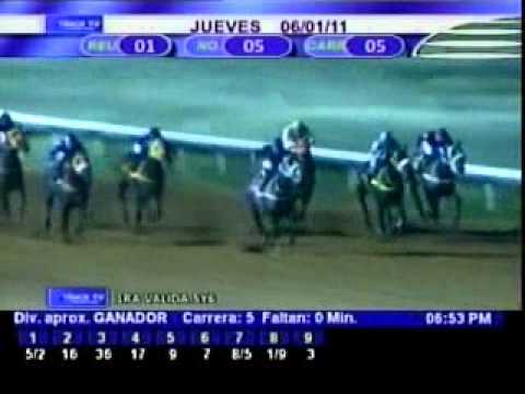 Resumen Jueves, 06 de Enero de 2011 - Santa Rita