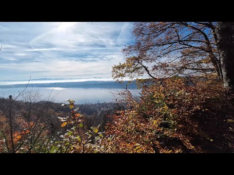 JUBILÄUMSWEG BODENSEEKREIS: 6. Etappe von Owingen über Hödingen und durch 2 Tobel nach Überlingen