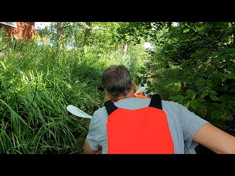 Mot Båven via Forsaån