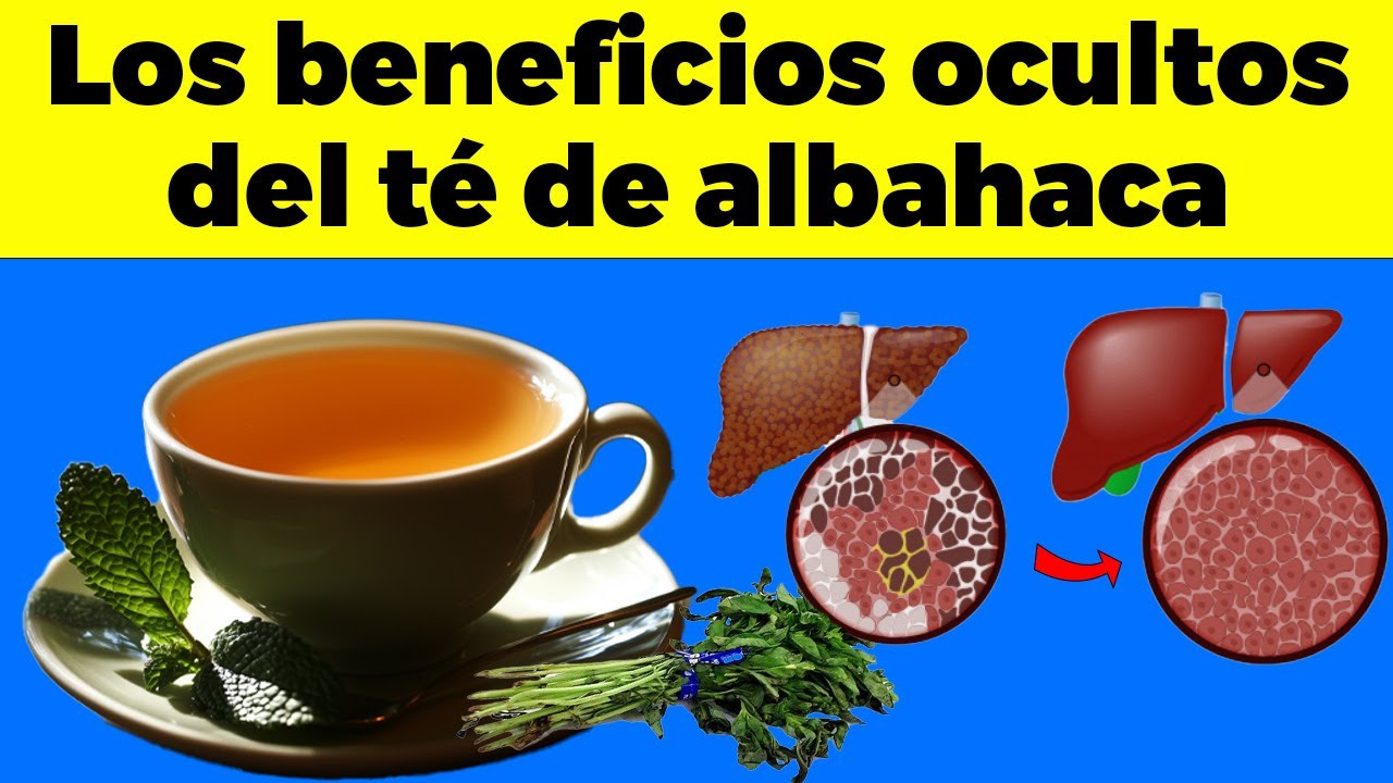 ¿TOMAS TÉ DE ALBAHACA?   ¡ASÍ LO ACTIVAS! Increíbles BENEFICIOS de Consumir ALBAHACA “de ESTA forma”