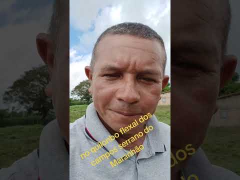 quilonbo flexal serrano do Maranhão