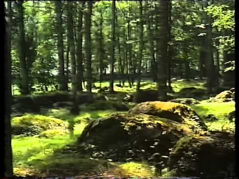 Erik och Sigvard - Ett år i Småland - Del1 - Sommaren