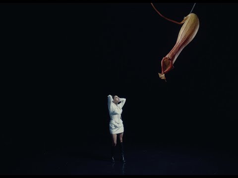 Empress Of - Save Me (Official Music Video)