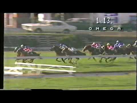 1985 John F Feehan Stakes