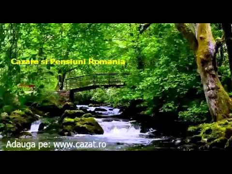 Cazare Pelinu, Calarasi - Cazat.ro