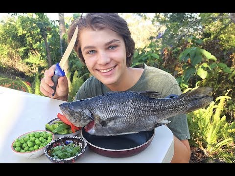 download lagu mp3 mp4 Australian Sea Bass, download lagu Australian Sea Bass gratis, unduh video klip Australian Sea Bass