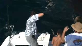 preview picture of video 'Relentless Pursuit - Saltwater Bow Fishing in the Gulf of Mexico - Part 105'