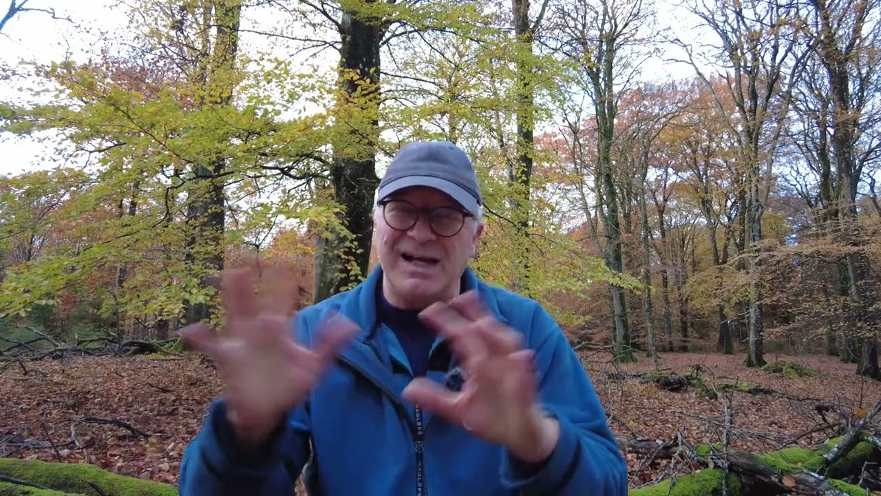 Stjernebilleder - Efterårsfirkanten