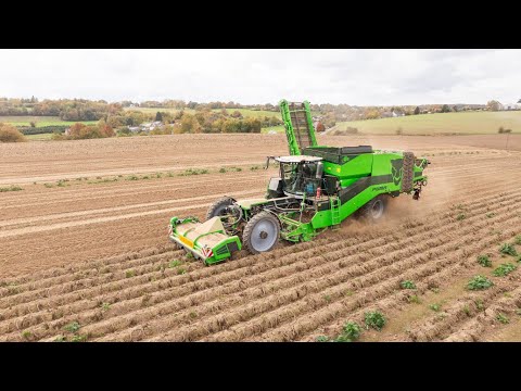 AVR Full range | 2025