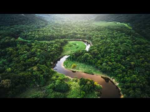 Wacomaia ( Yawanawa )