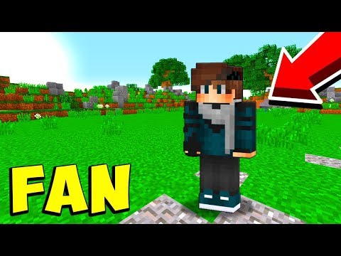 GIOCO NEL MONDO DI UN MIO FAN - Minecraft ITA