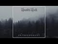 Beautiful Death In The Forest 2020 Full Album