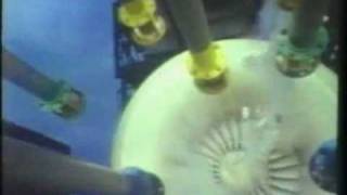 P3 Professionals Quality Mgt Strategy Example Intro Jet v Chicken