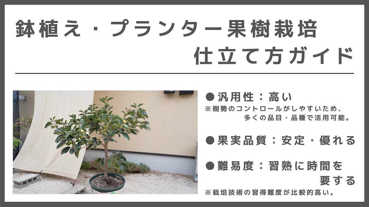 鉢植え・プランター果樹栽培【仕立て方ガイド】
