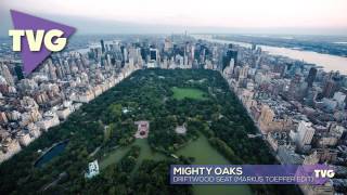 Mighty Oaks - Driftwood Seat (Markus Toepfer Edit)
