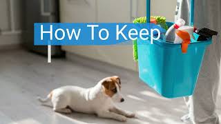Tips & Tricks To Keep Your House Clean With Pets