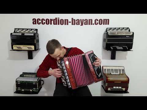 Tulskiy Russian Bayan Etude 205M Button Accordion 100 bass Acordeone de Botones, with Straps and Hard Case, 2437, Vintage Tula Factory Musical Instrument image 16