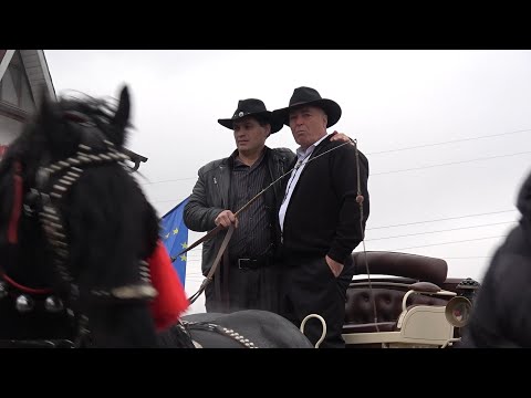 Aniversare 40 de ani de pasiune pentru cai, Dorin Blenda de la Cluj - 2025 Nou!!!