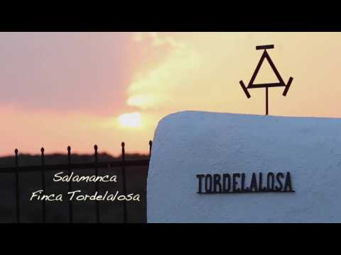 Finca Tordelalosa