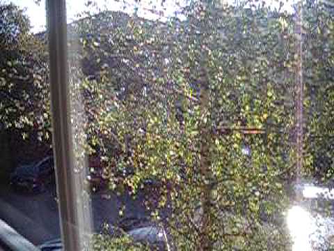 Moving into my Flat on Lewes Court (part 1)