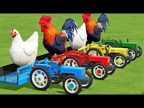 TRANSPORTING CHICKENS  WITH FIAT MINI TRACTOR & VOLVO TRUCK !    Farming Simulator 22 !