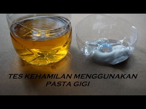 download lagu mp3 mp4 Tips Cek Kehamilan, download lagu Tips Cek Kehamilan gratis, unduh video klip Tips Cek Kehamilan