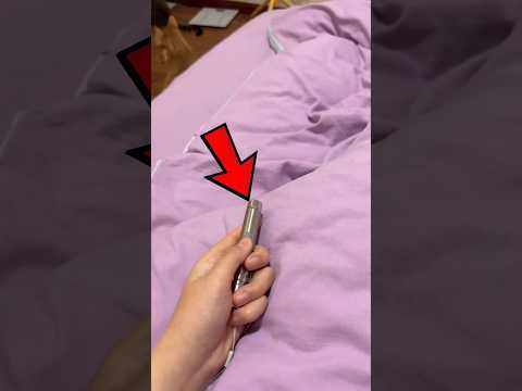 This Cat Accidentally Turned Off the Lights! #usa