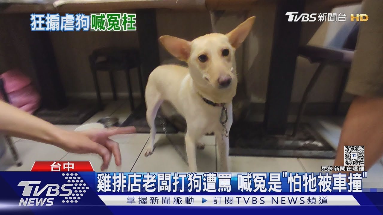 「怕牠被車撞」台中雞排店長打愛犬　畫面曝光引網友眾怒