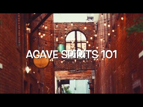 Agave Spirits 101