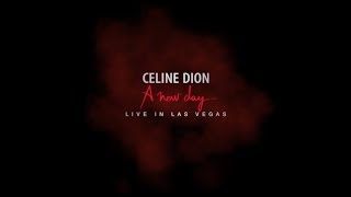 Celine Dion - What A Wonderful World Live in Las Vegas 2006 (Bootleg)