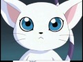 Digimon