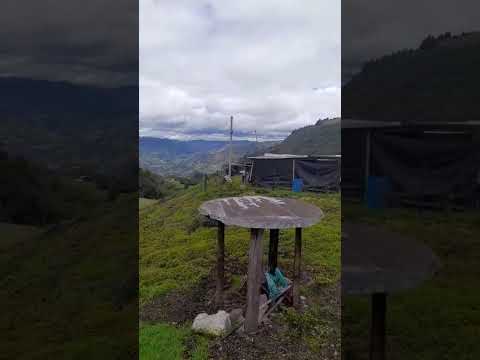 Finca en vereda pavaquira nuevo colon Boyacá