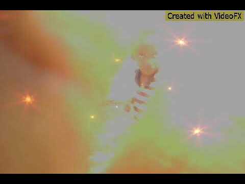 Puto THEO barrigudo  VS   Julinho o puto ossos