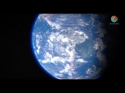 Paul Hawken: The Visionary Environmentalist | Community Health