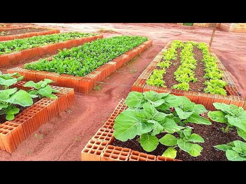 COMO FAZER UMA HORTA EM CASA (EM 1 MINUTO PASSO A PASSO)