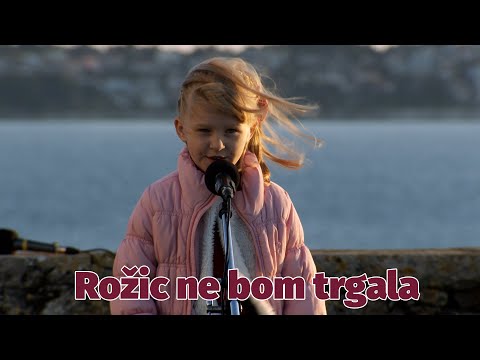 Modrijani, Helena Oset in Mike Orešar - Rožic ne bom trgala (V ŽIVO)