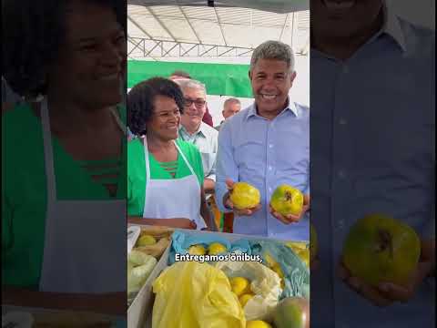 Entregas Rafael Jambeiro